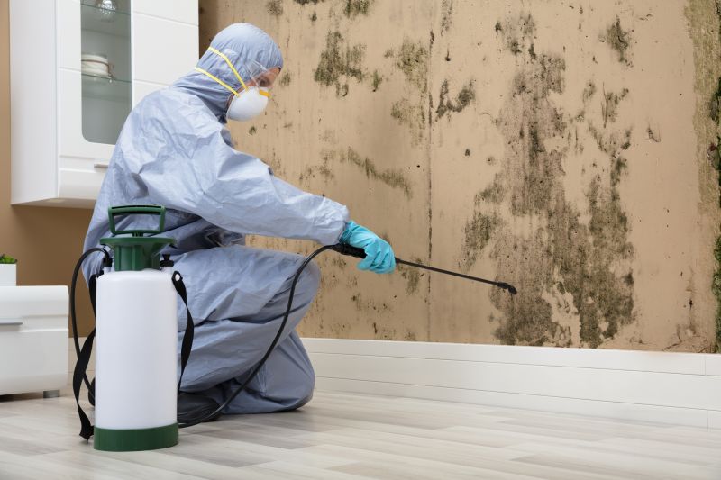 Mold and Mildew Treatment